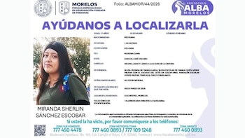 Desaparece Miranda Sherlin, joven de