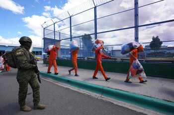 Según el Ejecutivo, el proveedor