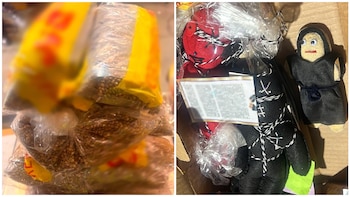 Pretendían ir de Sinaloa a Bolivia: ANAM asegura 2.5 kilos de semillas de cannabis escondidas en muñecos vudú