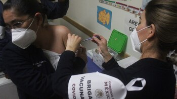 El IMSS buscó proteger a