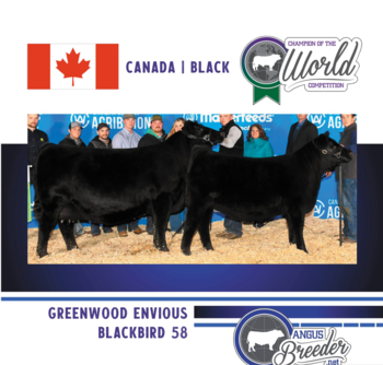 El premio de oro para