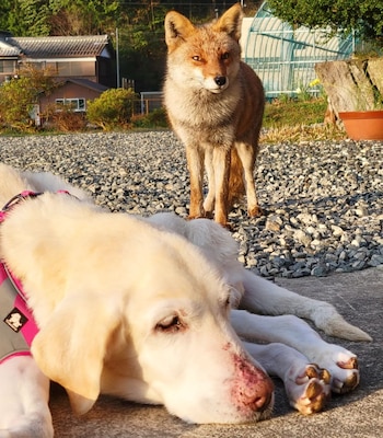 Con el paso del tiempo