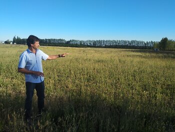 El proyecto busca experimentar cultivos