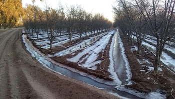 El Gobierno declaró la emergencia agropecuaria en Chubut, Santa Cruz y varios departamentos de Mendoza