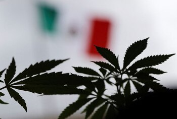 Imagen de archivo. Manifestantes marchan