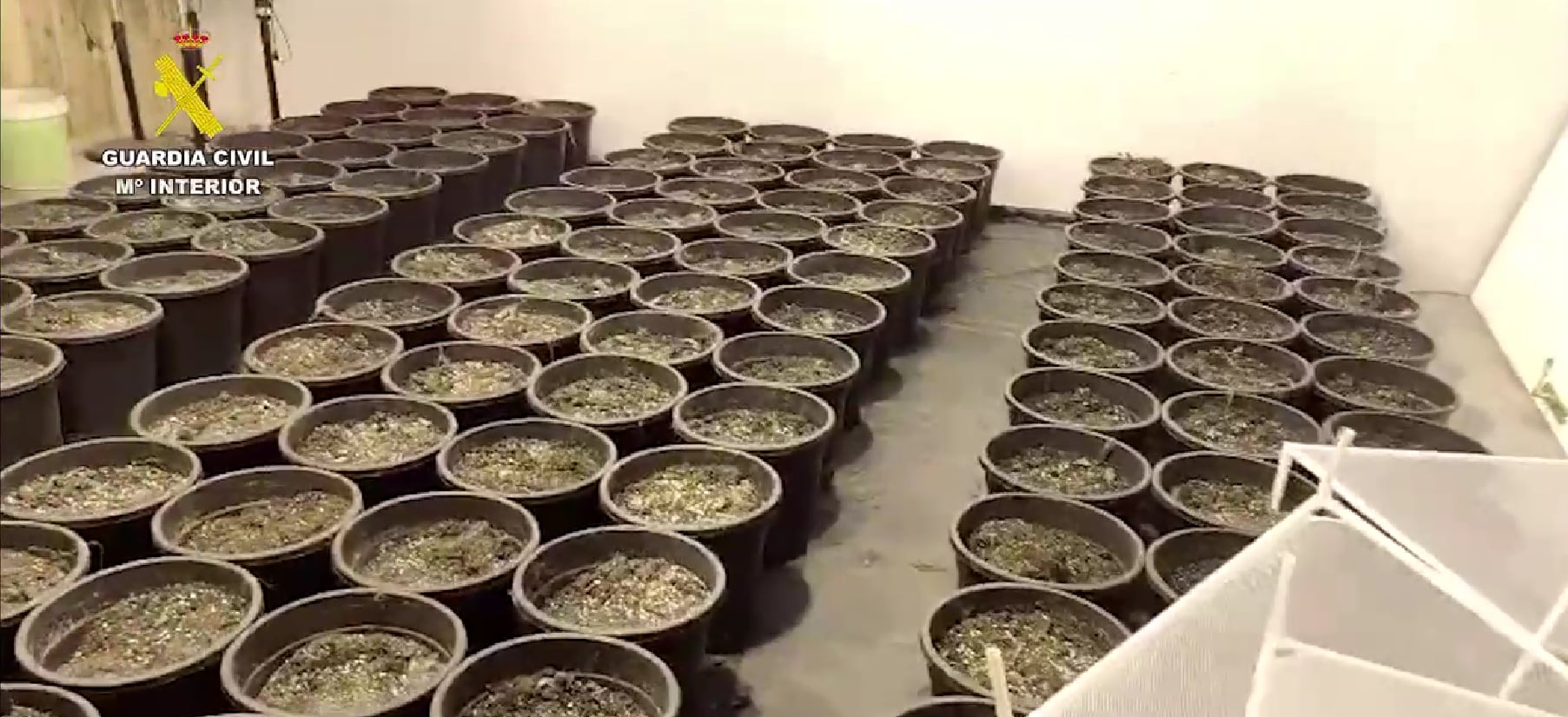 Interior usa el convenio de limpieza viaria y alcantarillado para pagar a los trabajadores que destruyen marihuana: 27,5 euros la hora