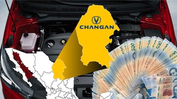 Profeco recupera más de 2