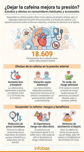 Infografía con título sobre cafeína y presión, ilustrada con cabezas humanas, cerebro, corazón, taza de café, monitor de presión y gráficos. Incluye iconos y textos explicativos.