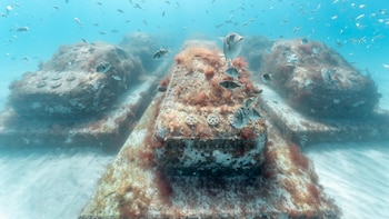 Un recorrido por la autopista
