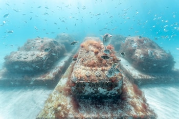 Una artista argentina creó una