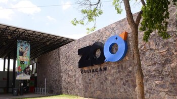 Retiran más de 100 animales