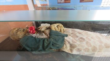 Hasta el momento no han