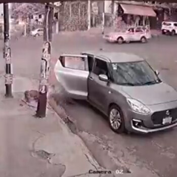 El perrito fue abandonado en