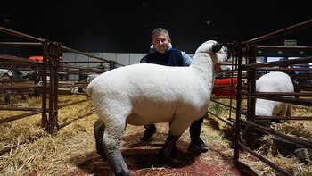 Jorge Linares, tercer año que