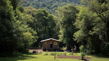 Un hombre lleva 40 años viviendo a 2.200 metros de altitud en medio del bosque: una cabaña para estar junto a su ganado y ser autosuficiente