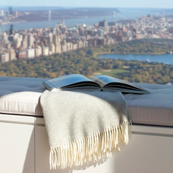 Vista del Central Park desde