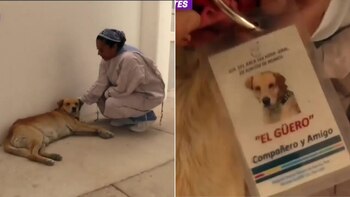 La historia de "Güero" conmovió