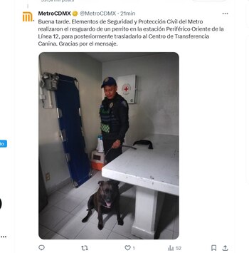 Policía rescata a perrita en