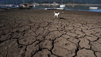 Las sequía en México ha