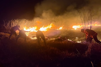 El incendio afectó un predio que el cantante tenía destinado para construir un hotel - crédito AP