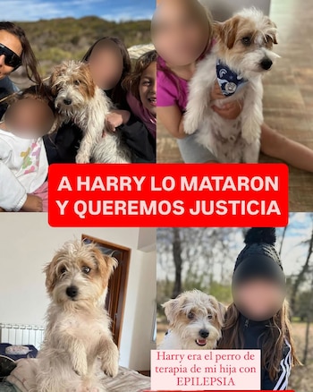 La familia vive en el