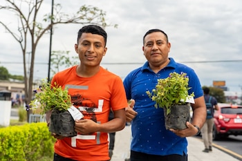 La recuperación de coberturas vegetales fortalecerá los pulmones urbanos y mejorará la calidad de vida en San Salvador Centro.