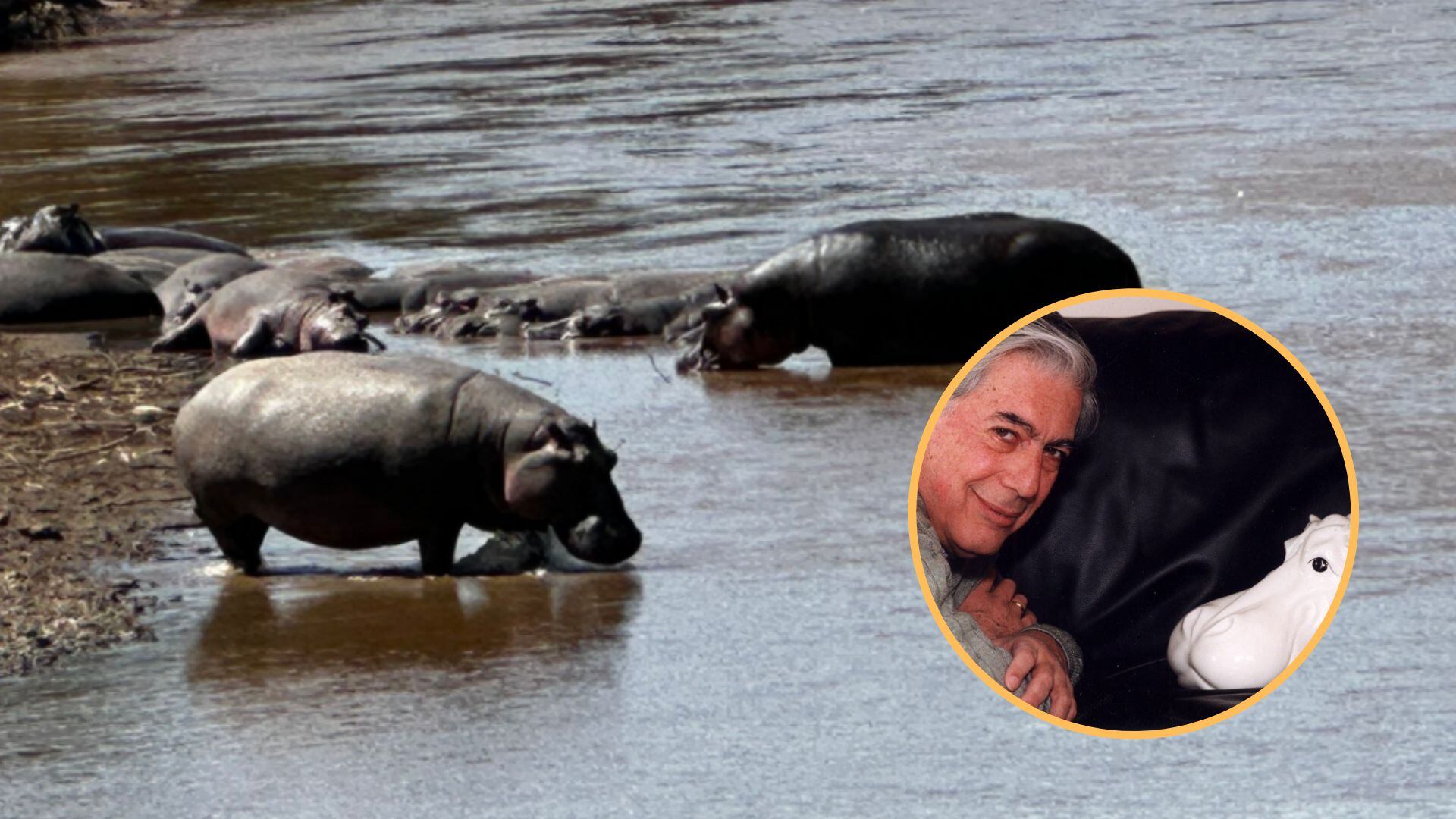 Mario Vargas Llosa tenía una fascinación por los hipopótamos .Foto: Twitter / Alvaro Vargas Llosa