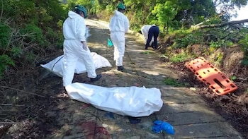 Identificaron los cuerpos hallados calcinados en zona rural de Quindío: investigan el asesinato de dos jóvenes ingenieros