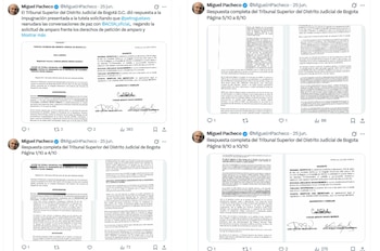 El activista Miguel Pacheco interpuso una acción de tutela para exigir información clara sobre el estado del proceso entre el Gobierno y las Acsn - crédito @MiguelHPacheco/X
