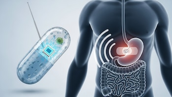 Crearon una cápsula inteligente que