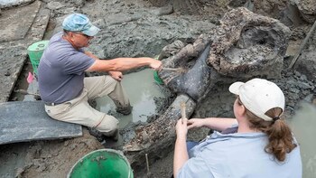 En un inesperado giro del