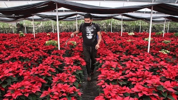 Se aproxima la venta de