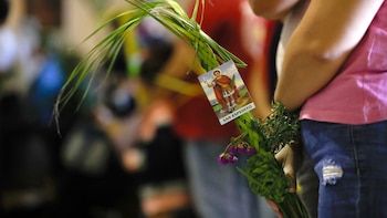 No clavar en la pared, no comer carne roja y otras creencias populares propias de la Semana Santa en El Salvador