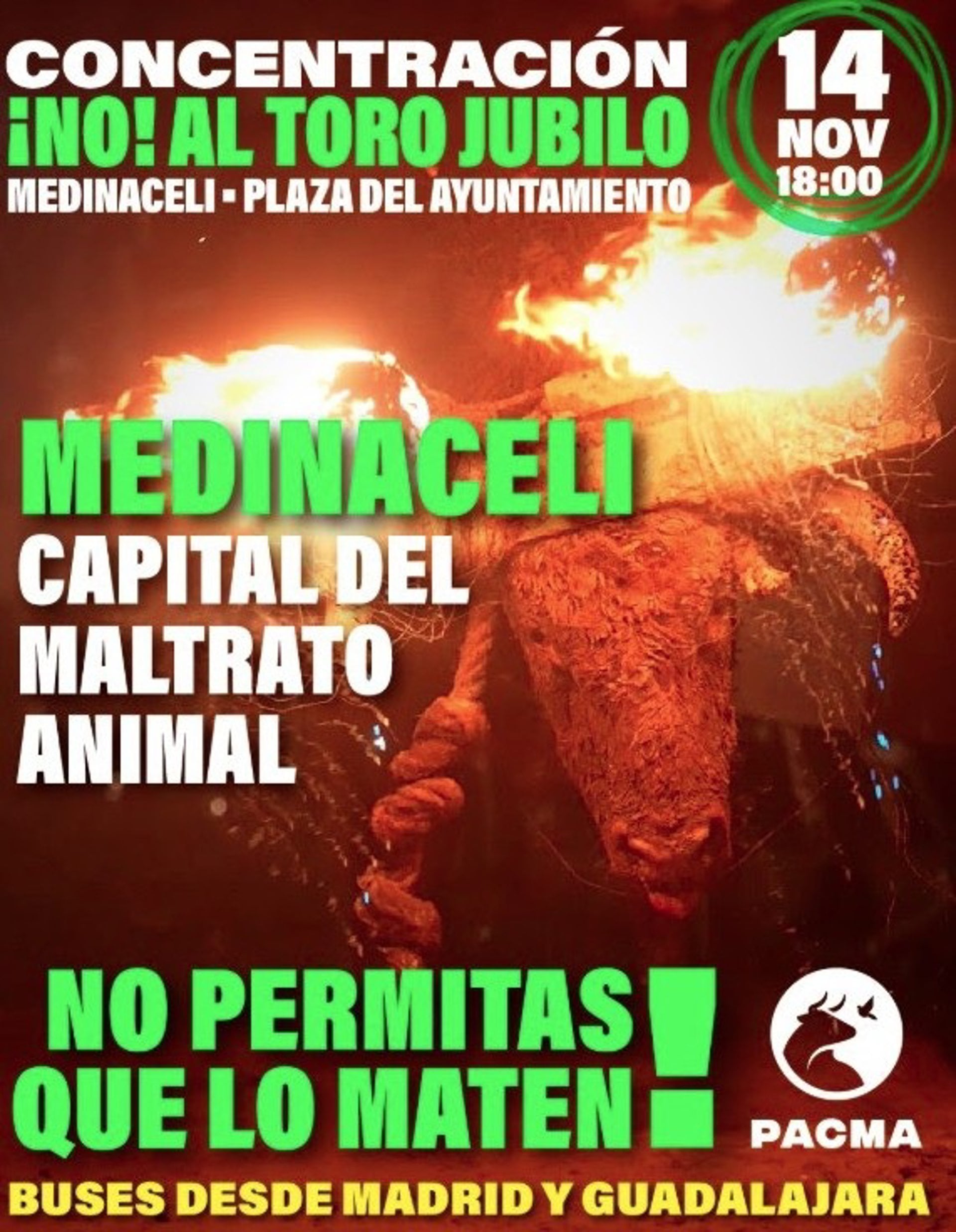 02/10/2026 El PACMA convertirá Medinaceli (Soria) en el