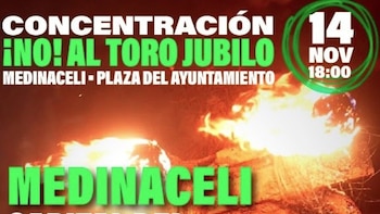 El PACMA convertirá Medinaceli (Soria) en el "nuevo Tordesillas" para erradicar también el Toro Jubilo