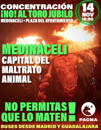 02/10/2026 El PACMA convertirá Medinaceli (Soria) en el "nuevo Tordesillas" para erradicar también el Toro Jubilo.
El Partido Animalista PACMA ha convocado una concentración contra el festejo del Toro Jubilo para el próximo sábado 14 de noviembre, a las 18.00 horas, en la plaza del Ayuntamiento de Medinaceli (Soria). La movilización contará con la presencia de su presidente, Javier Luna, y tiene como finalidad reforzar la presión social para lograr el fin de este espectáculo taurino, que constituye el último de su modalidad en Castilla y León.
POLITICA CASTILLA Y LEÓN ESPAÑA EUROPA SORIA SOCIEDAD
PACMA