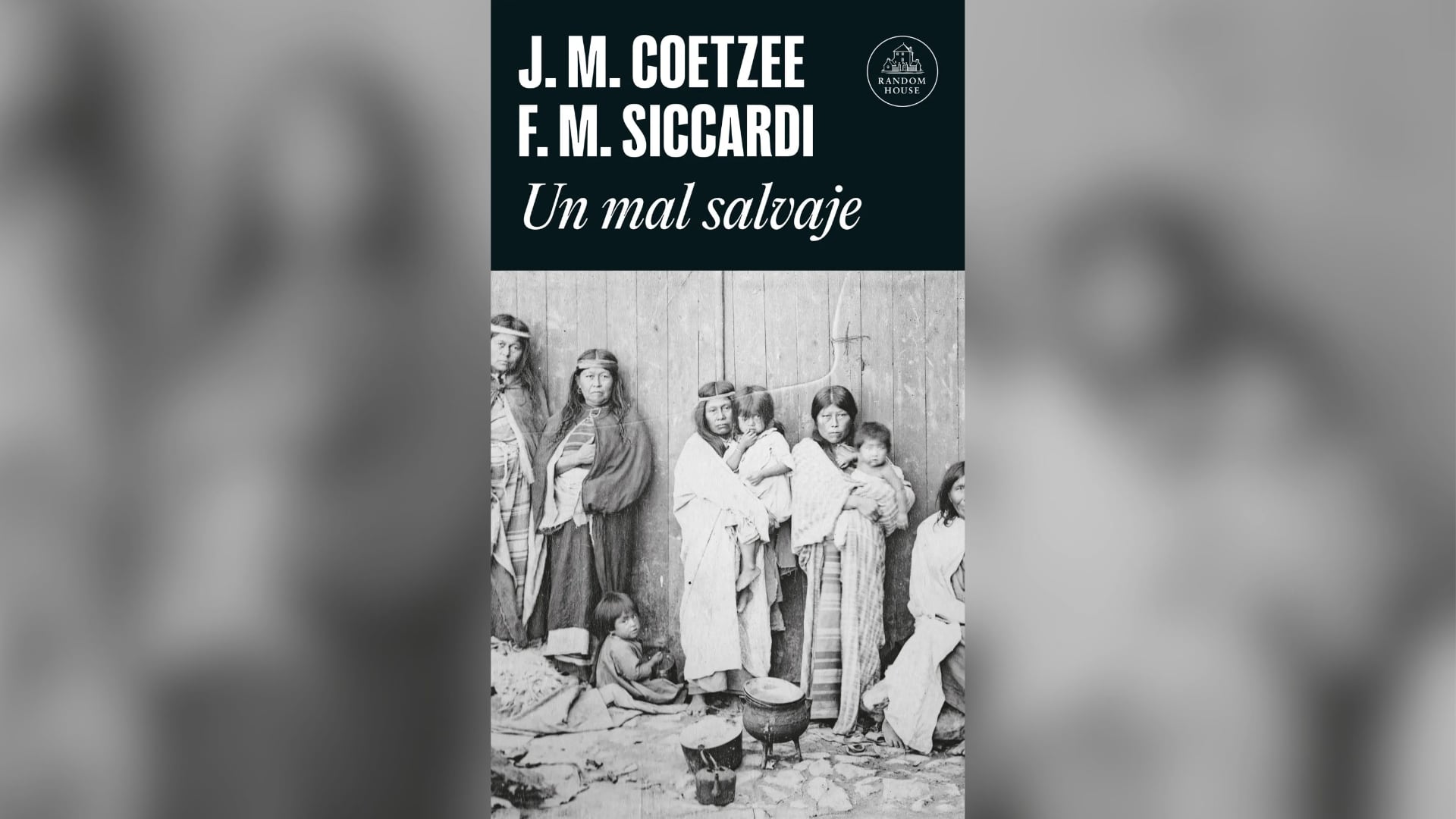 Portada de “Un mal salvaje”, de JM Coetzee y Fabián Martínez Siccardi