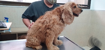 Un estudio de la Universidad