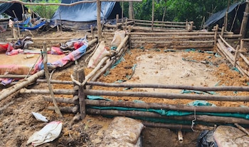 Según Presidencia, la extracción ilegal