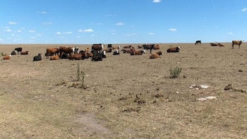 Por la falta de lluvias
