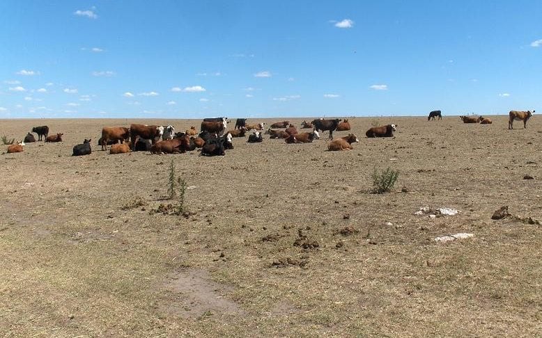 Sequía en Uruguay, en una imagen de archivo (@falgorta)