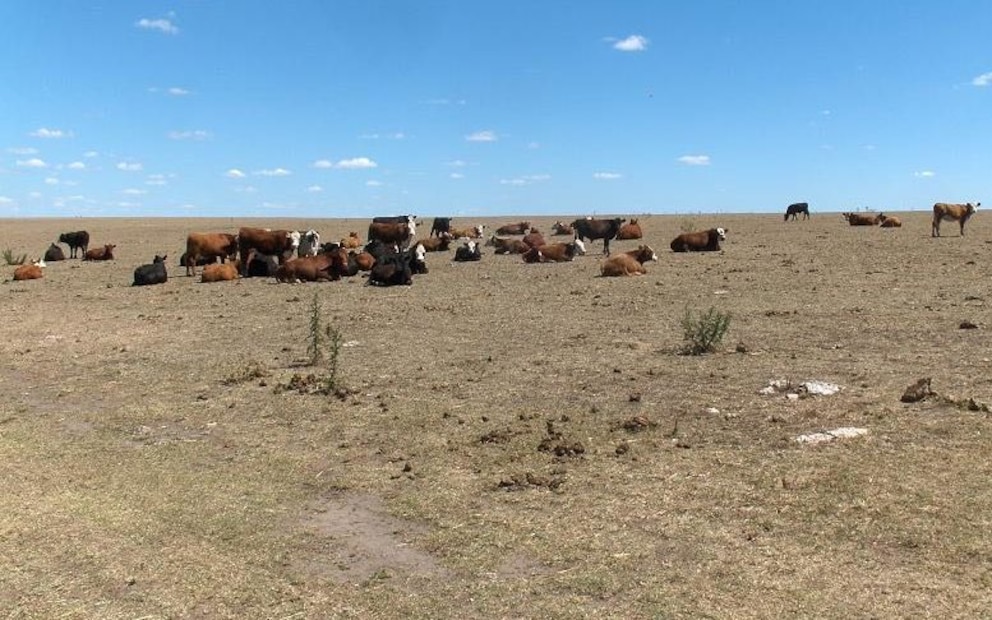 BV45EVWM6ZEHZIRONYC7TBQJXA