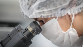 Las claves para combatir las amenazas a nuestro mundo