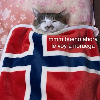 (Redes sociales)