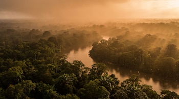 Vista aérea de una selva densa cruzada por un río serpenteante bajo una bruma dorada de polvo en suspensión.