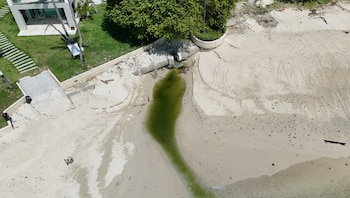 Contadora es un territorio insular, por lo que la suma de los impactos de estas actividades incrementa de forma grave los procesos de erosión, escorrentía y arrastre de sedimentos. (MiAmbiente)