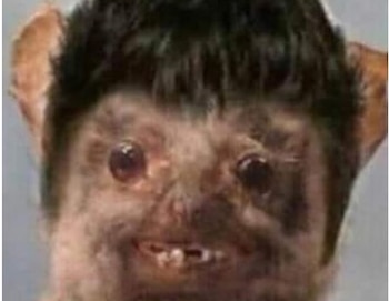 Los memes más destacados del