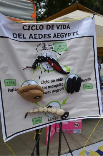 (Foto: SS Guanajuato)