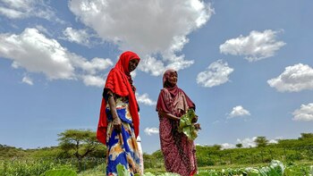 Bruselas destina 63 millones en