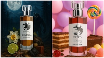 coyotl -México- 31 marzo